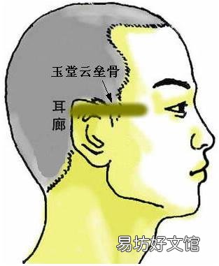 骨相图解:玉堂云垒骨