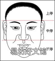 面相学入门：面相的三停指的是什么