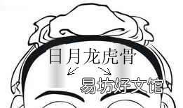 骨相图解:日月龙虎骨