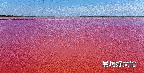 法国惊现血水湖:湖水如红海湖水中的盐结晶