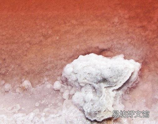 法国惊现血水湖:湖水如红海湖水中的盐结晶