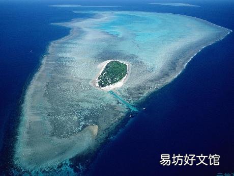 东海岸温带和亚热带森林区介绍