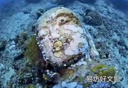 “海底佛寺”在东南亚的海底被发现 佛像完好保留