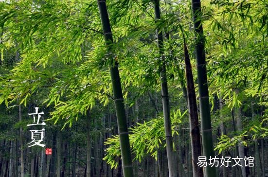 立夏是什么时候?二十四节气之立夏的由来与含义