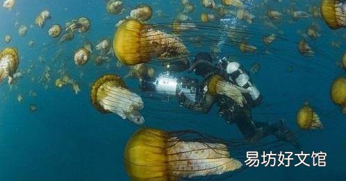 馬里亞納海溝恐怖 曾潛入海底研究員不敢再去這海域
