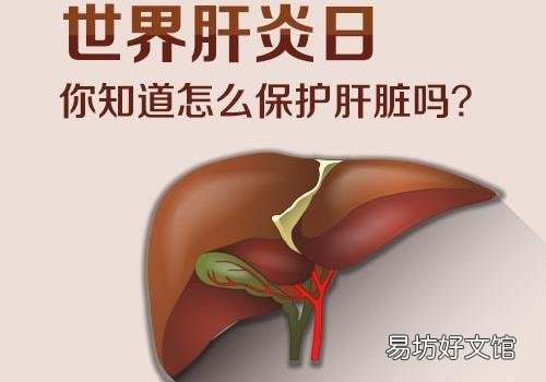7月28日是什么节日?世界肝炎日是几月几日