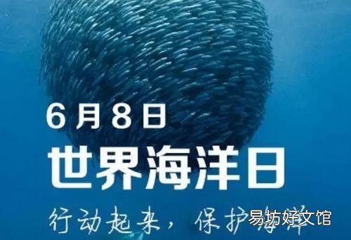6月8日是什么节日?世界海洋日是几月几日