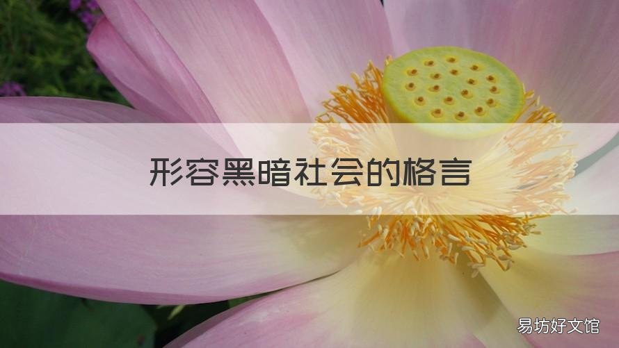 形容黑暗社会的格言 写黑暗社会的名言