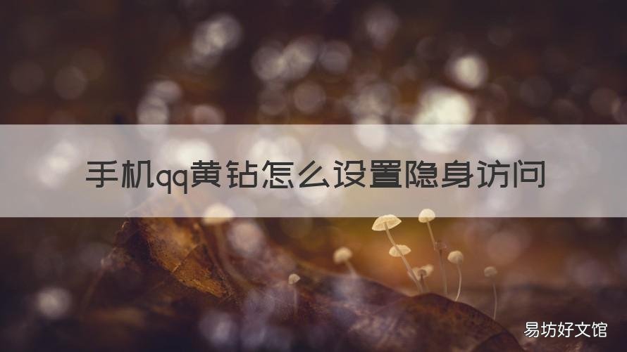 手机qq黄钻怎么设置隐身访问 手机qq黄钻怎么设置隐身访问别人空间
