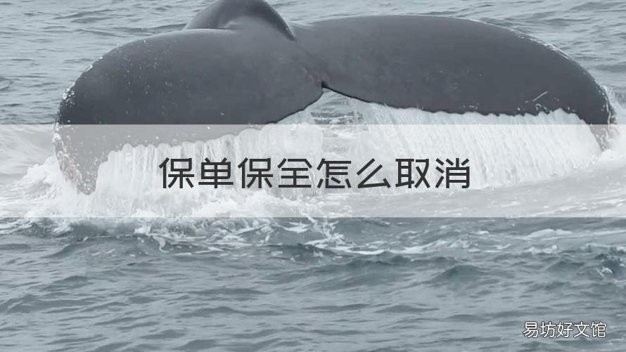 保单保全怎么取消 保单保全处理
