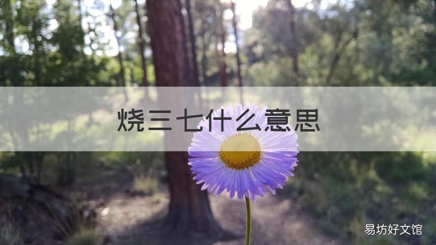 烧三七什么意思 烧三七有什么忌讳