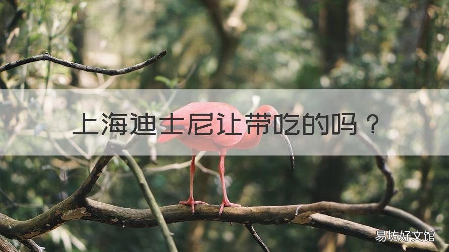 上海迪士尼让带吃的吗 上海迪士尼让带吃的吗2021