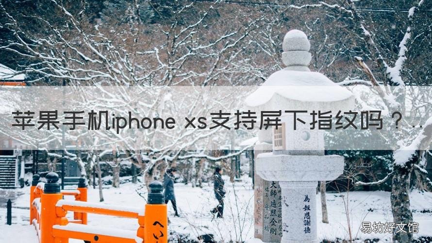 苹果手机iphone xs支持屏下指纹吗 苹果xs有没有屏幕指纹
