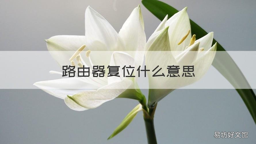 路由器复位什么意思 复位路由器是什么意思