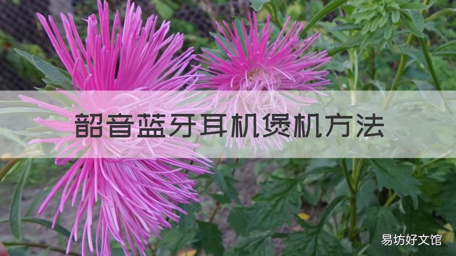 韶音蓝牙耳机煲机方法 韶音蓝牙耳机怎么连接手机
