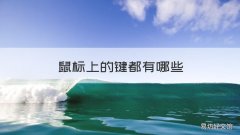鼠标上的键都有哪些 鼠标键是哪个