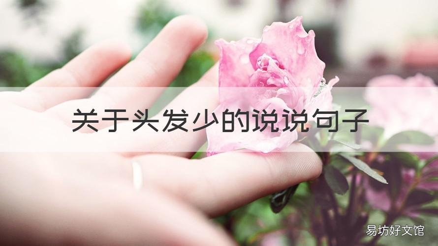 关于头发少的说说句子 头发稀少的说说