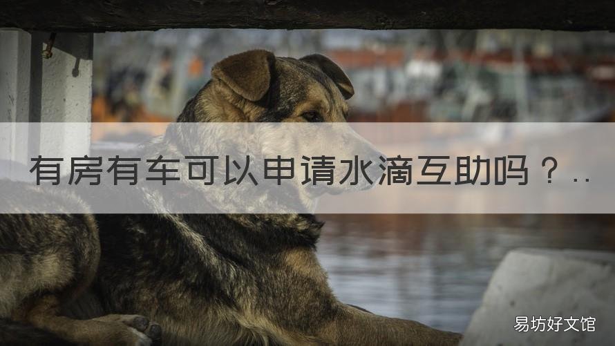 有房有车可以申请水滴互助吗 有房有车有存款可以申请水滴筹吗?