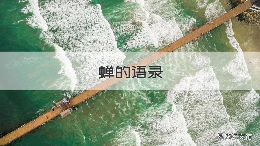 蝉的语录 赞美蝉的名言