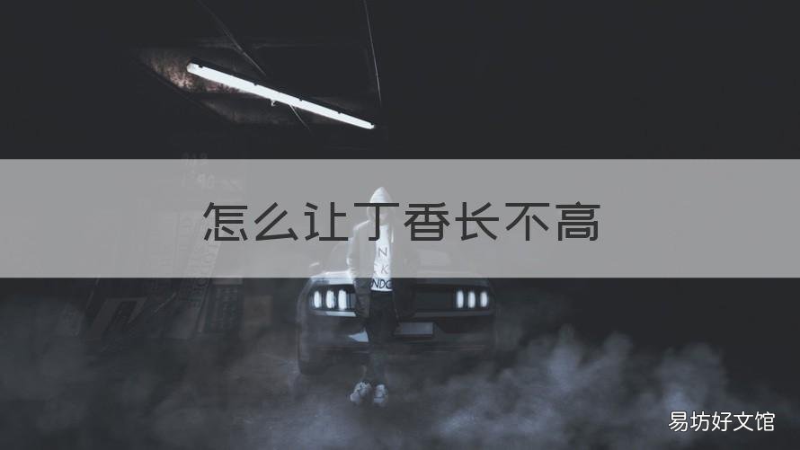 怎么让丁香长不高 丁香怎样养