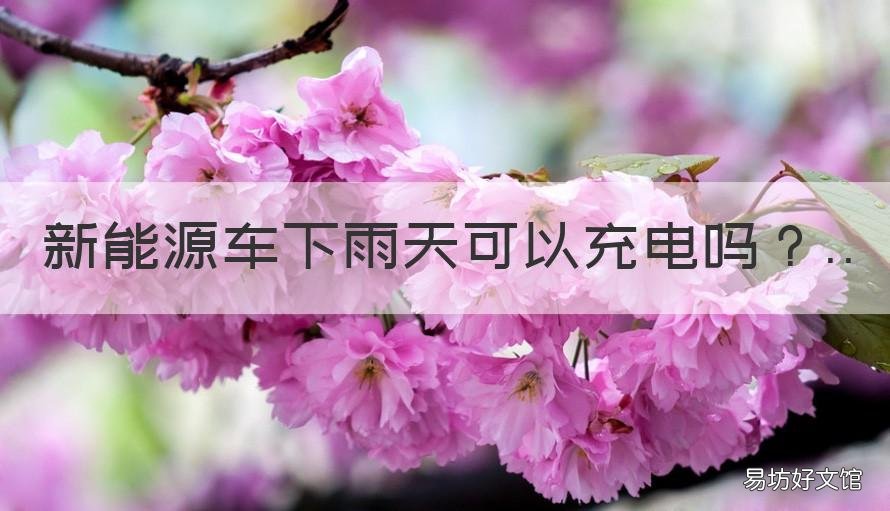 新能源车下雨天可以充电吗 下雨天新能源汽车能充电吗