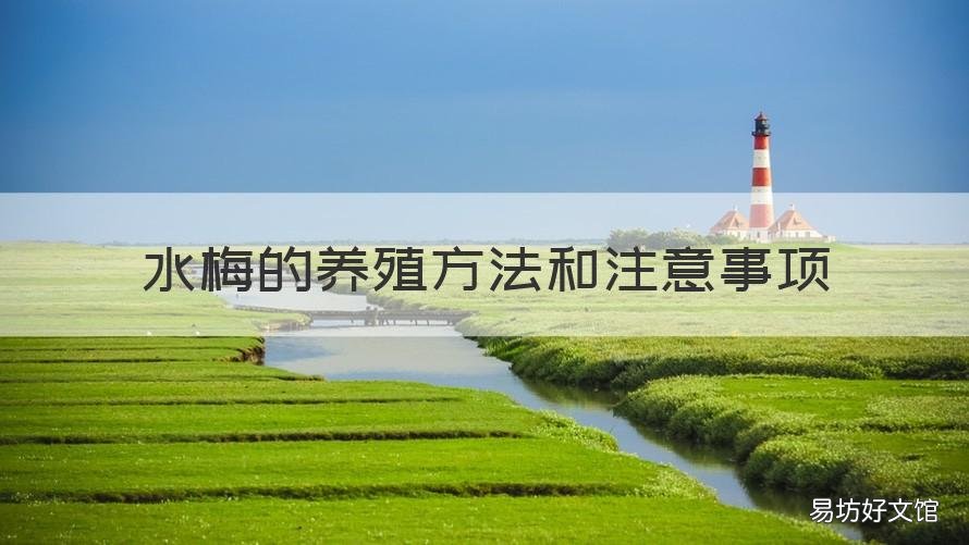 水梅的养殖方法和注意事项 水梅花养殖方法