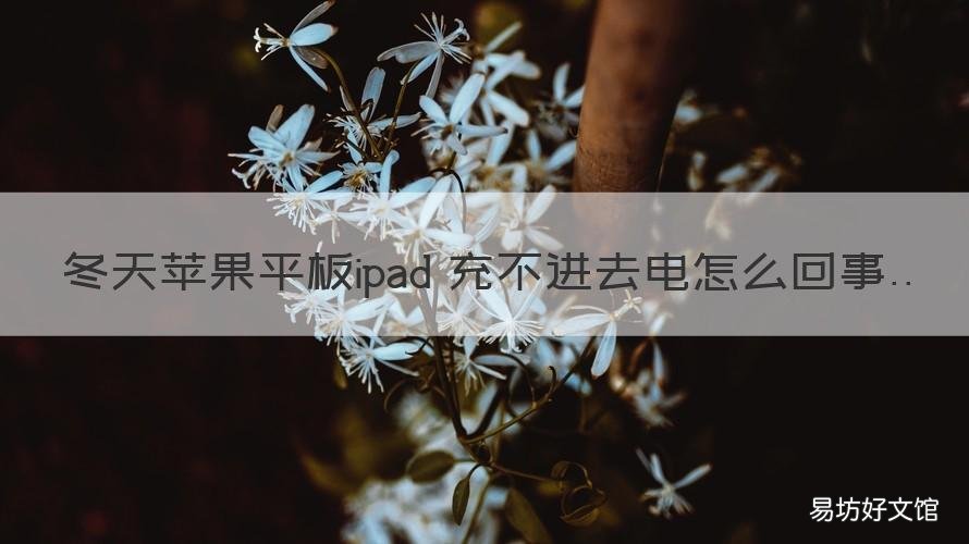 冬天苹果平板ipad 充不进去电怎么回事 ipad充不进去电怎么回事冬天