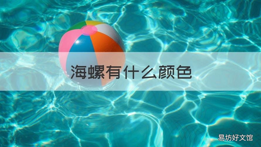 海螺有什么颜色 海螺什么颜色好看
