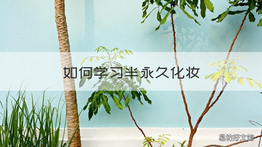 如何学习半永久化妆 半永久化妆技术培训