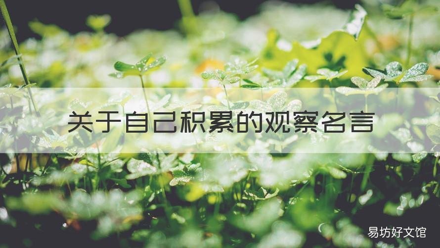 关于自己积累的观察名言 关于自己积累的观察名言有哪些