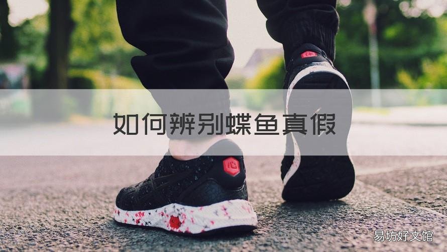 如何辨别蝶鱼真假 鲽鱼长什么样