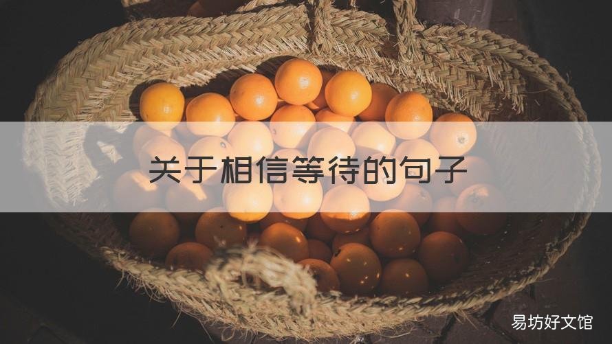 关于相信等待的句子 关于相信等待的句子简短