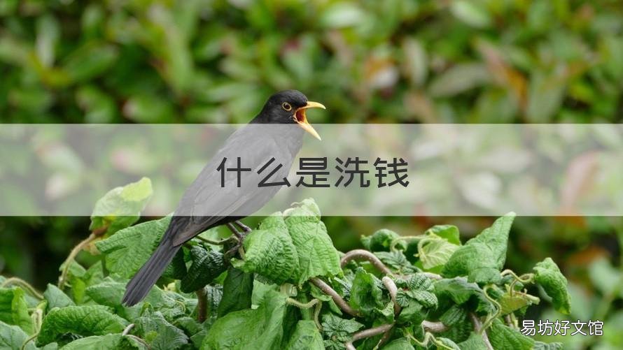 什么是洗钱 什么是洗钱?举例说明