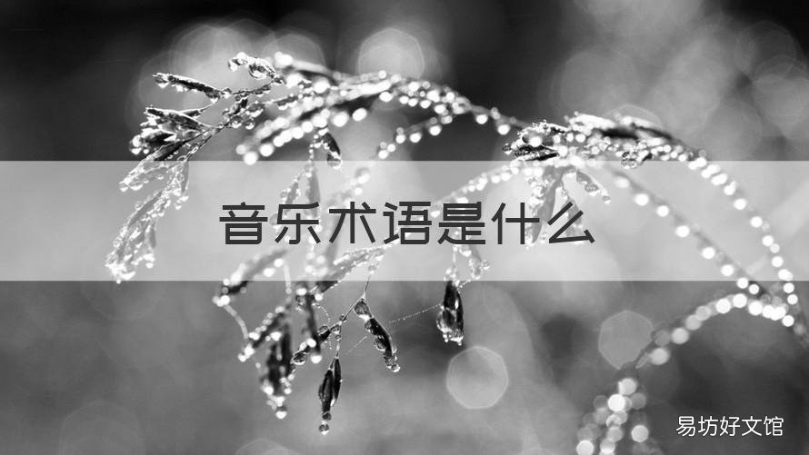 音乐术语是什么 开朗的音乐术语是什么