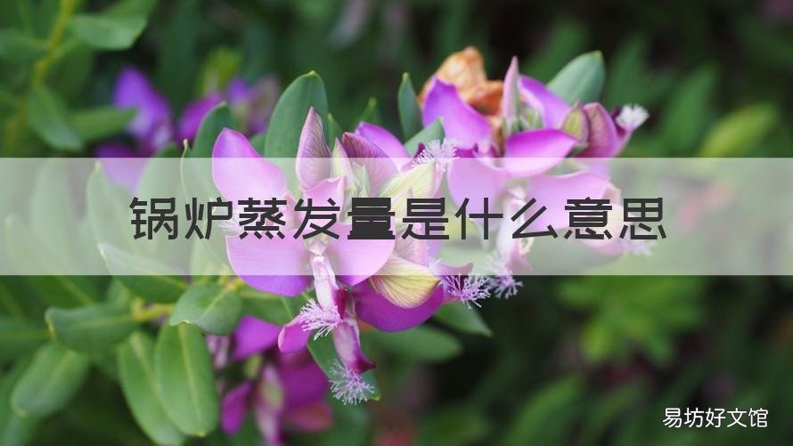 锅炉蒸发量是什么意思 锅炉蒸发量是不是主蒸汽流量