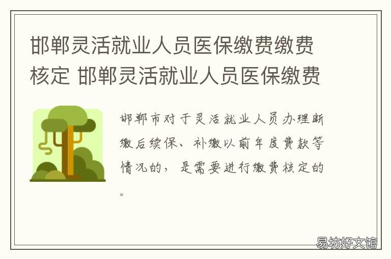 邯郸灵活就业人员医保缴费缴费核定 邯郸居民医保缴费