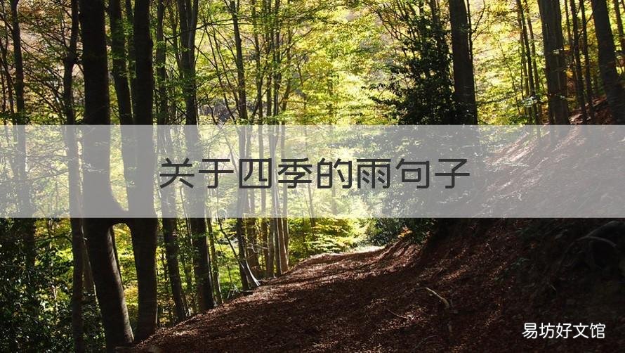 关于四季的雨句子 关于四季的雨句子唯美