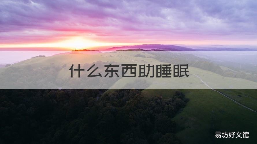 什么东西助睡眠 啥东西助睡眠