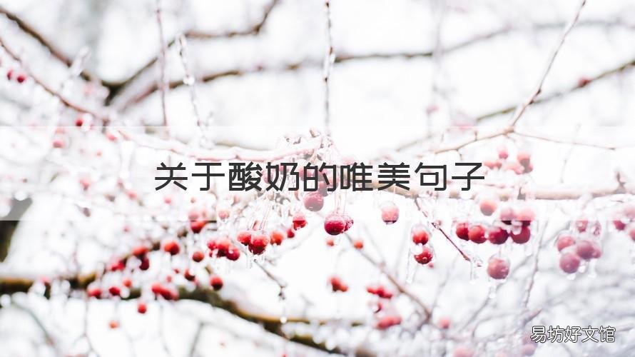 关于酸奶的唯美句子 跟酸奶有关的唯美句子