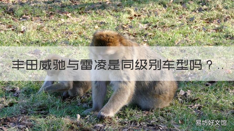 丰田威驰与雷凌是同级别车型吗