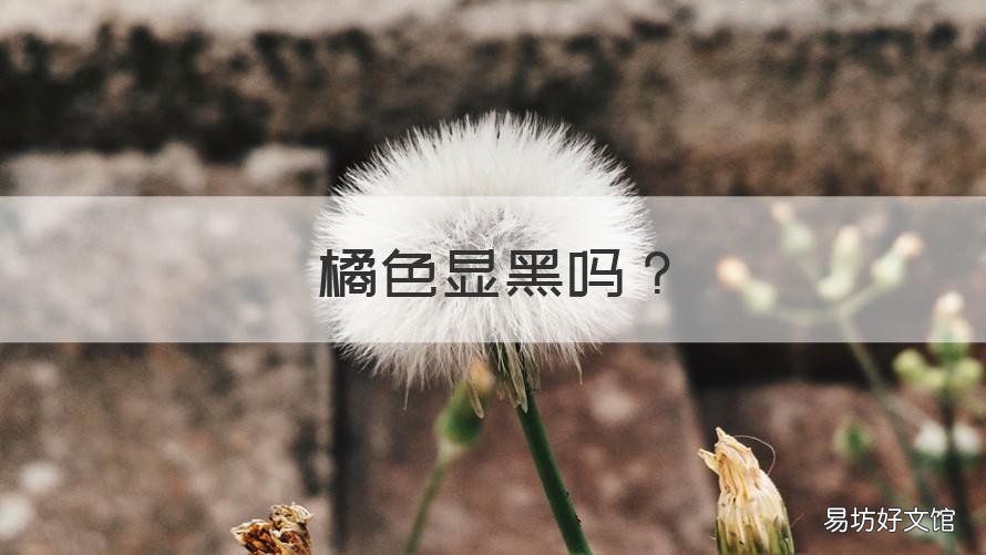 橘色显黑吗 橘色显黑吗?