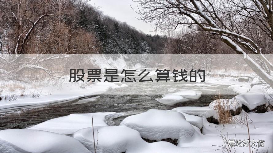 股票是怎么算钱的 炒股的钱怎么算