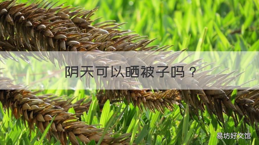 阴天可以晒被子吗 阴天可以晒被子吗夏天