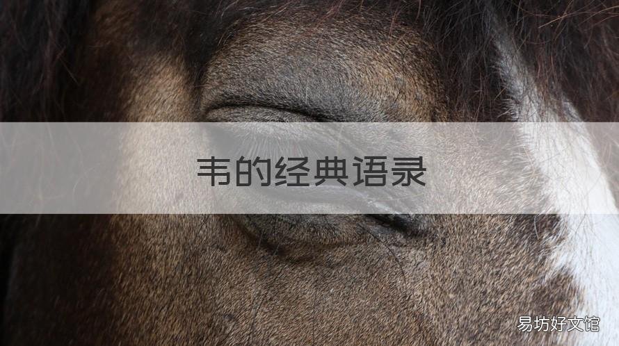 韦的经典语录 典韦的经典语录