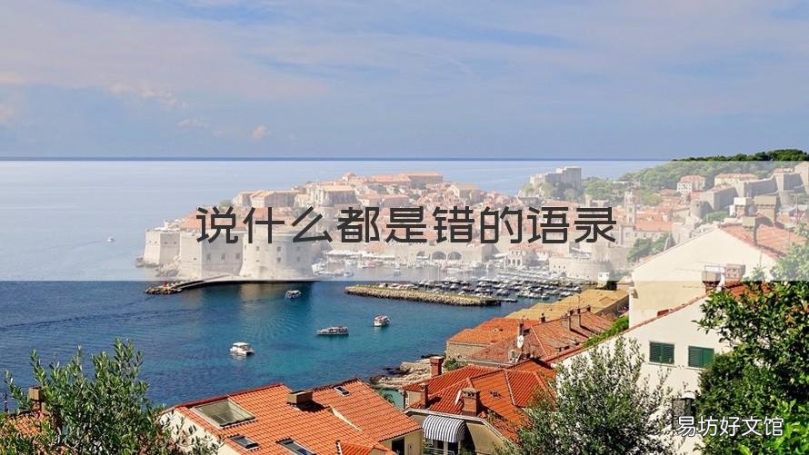 说什么都是错的语录 我说的话都是错的