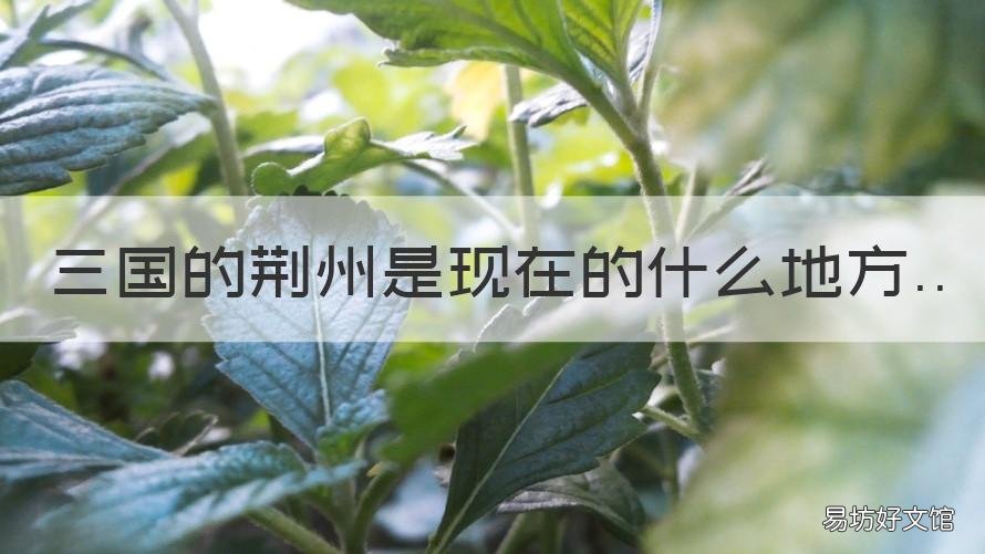三国的荆州是现在的什么地方 三国的荆州在现在的什么地方