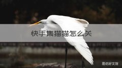 快手集猫猫怎么关 快手的宠物怎么关掉
