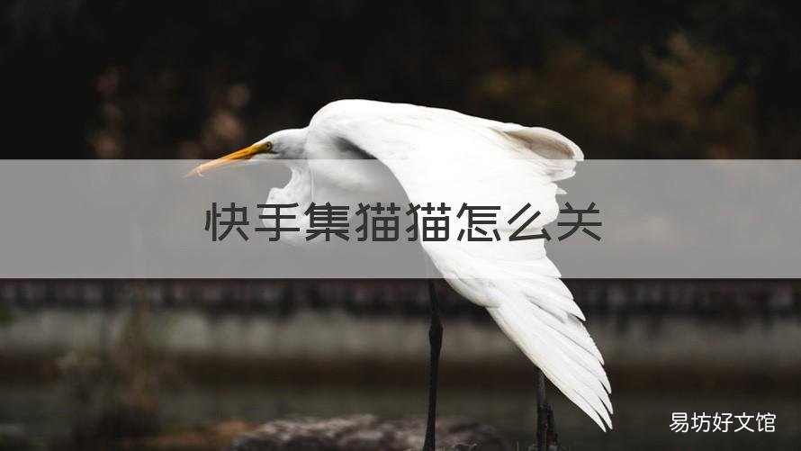 快手集猫猫怎么关 快手的宠物怎么关掉