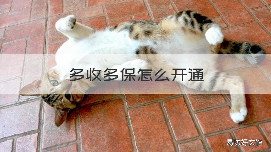 多收多保怎么开通 多收多保在哪里找到