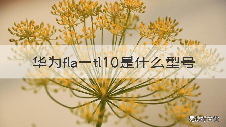 华为fla一tl10是什么型号